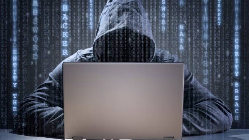 响应式网站制作